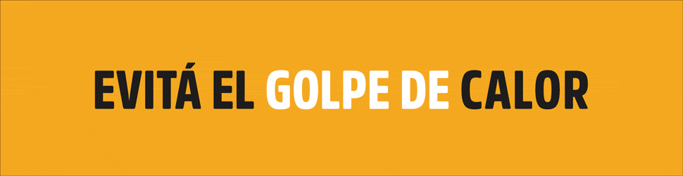 970x250-Golpe-de-Calor